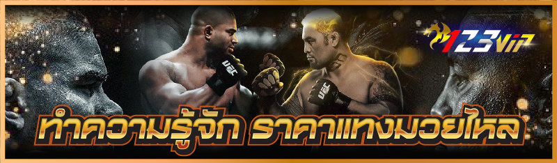 ทำความรู้จัก ราคาแทงมวยไหล