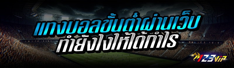 แทงบอลขั้นต่ำผ่านเว็บ ทำยังไงให้ได้กำไร